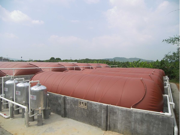 1500m3 biogas plant 