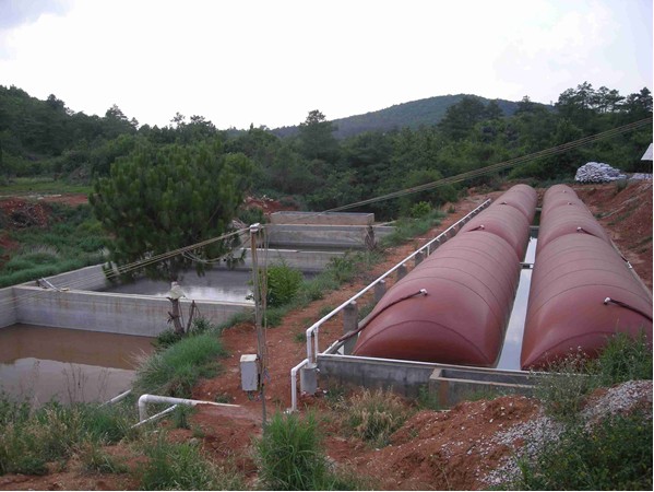 600m3 biogas plant
