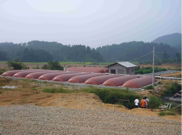 900m3 biogas plant