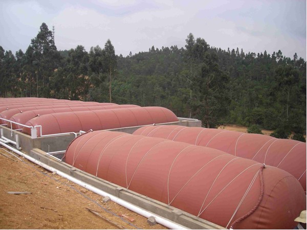 1000m3 biogas plant