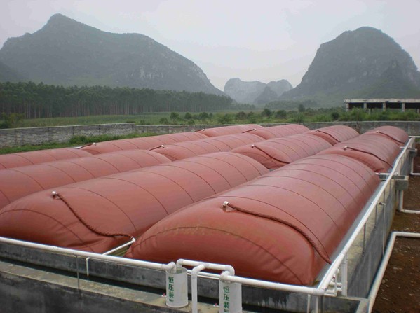 1200m3 biogas plant